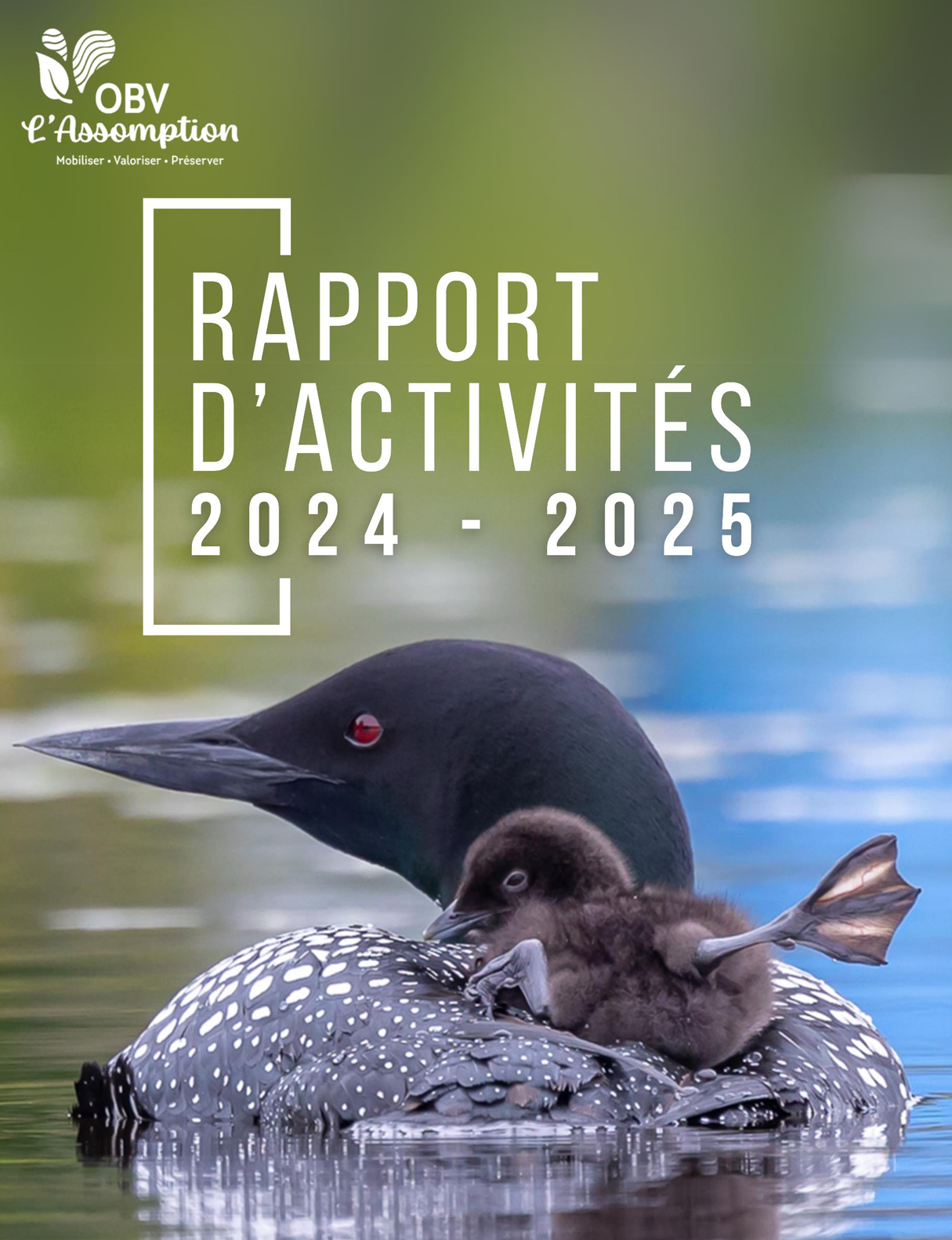 Rapport 2024-2025