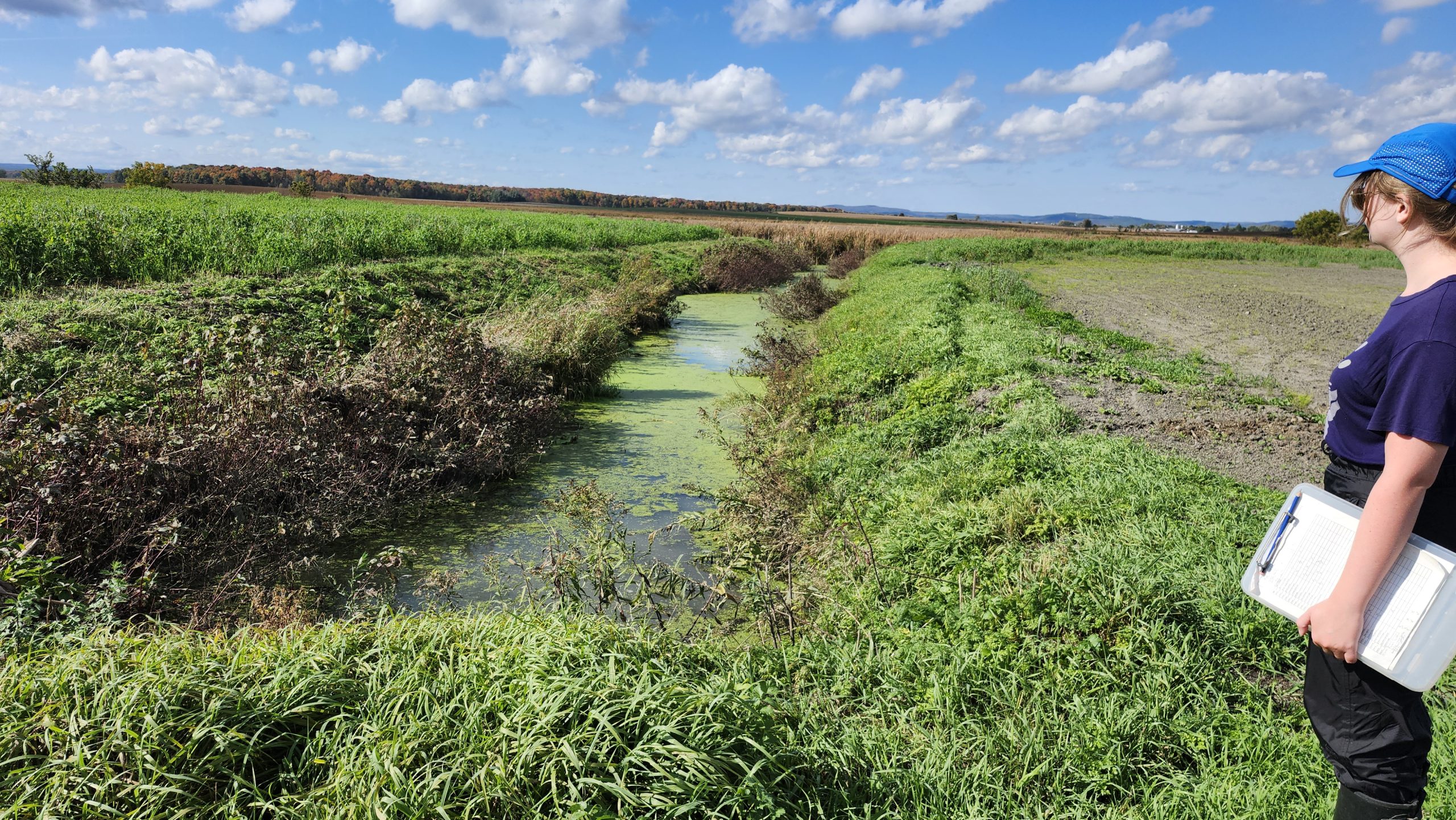 Caractérisation de rives en zone agricole