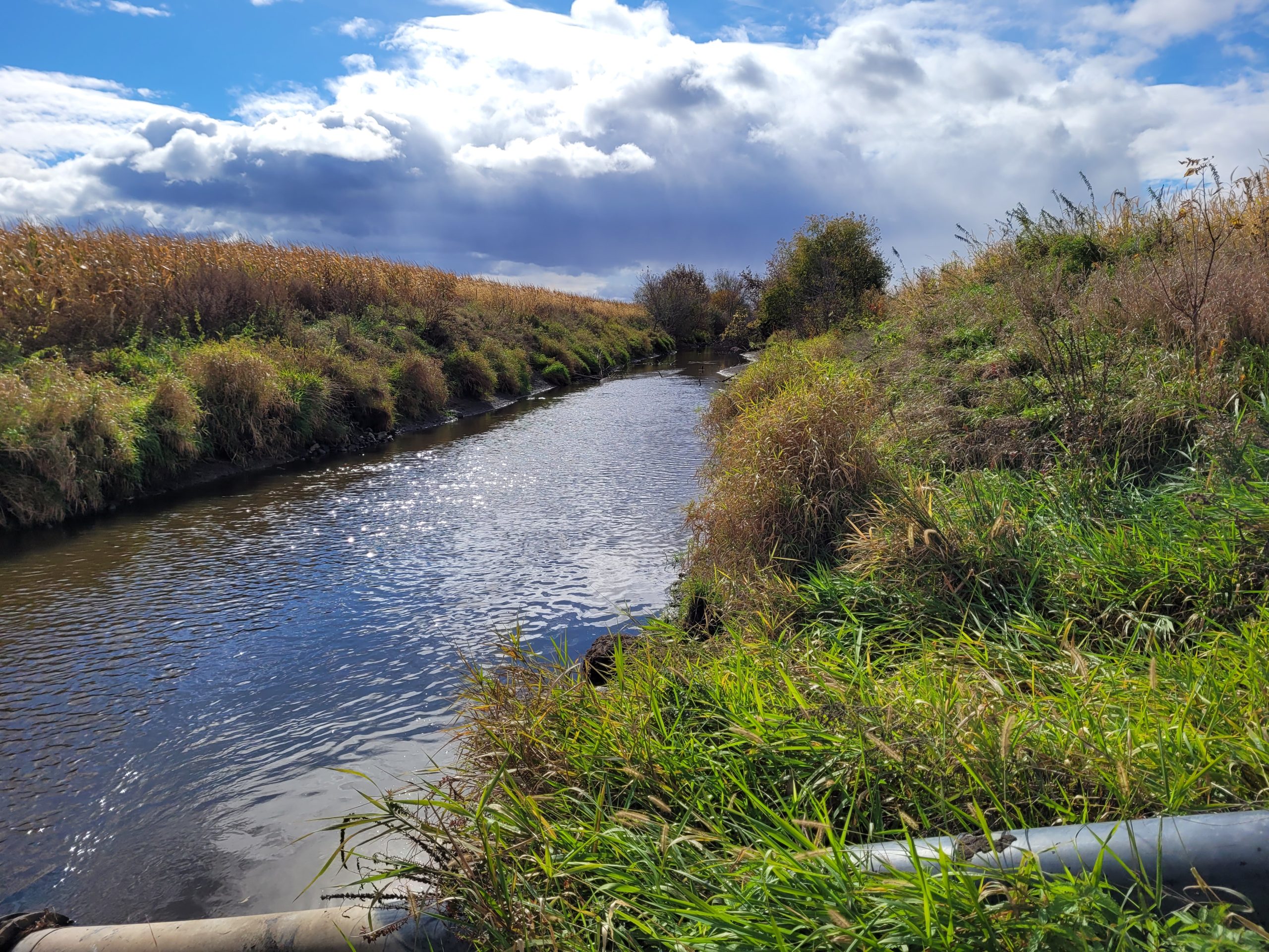 Suivi de la qualité de l’eau – MRC de L’Assomption
