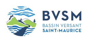 BVSM