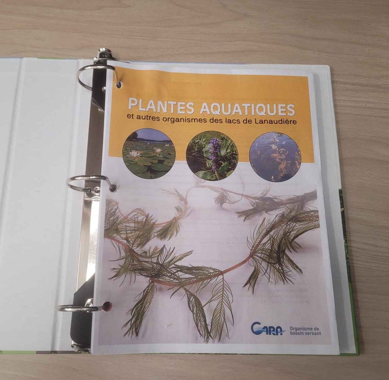 Fiches et guide d’identification