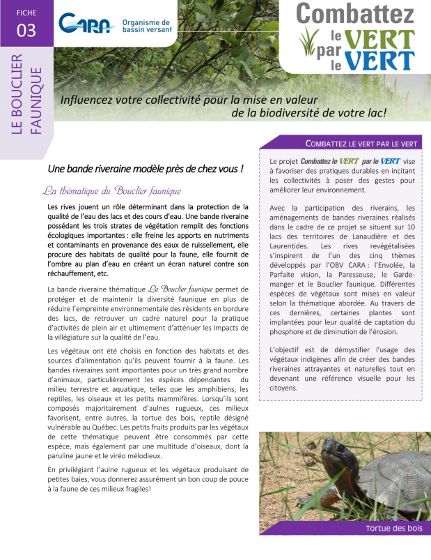 Parfaite vision