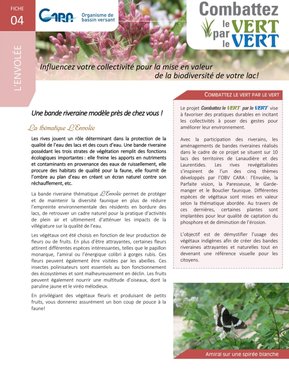 Parfaite vision