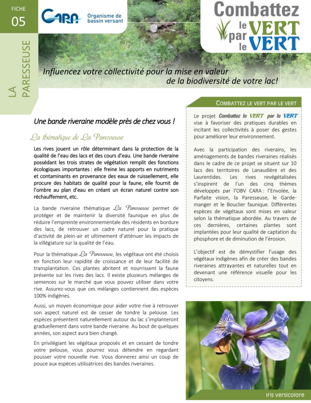 Parfaite vision