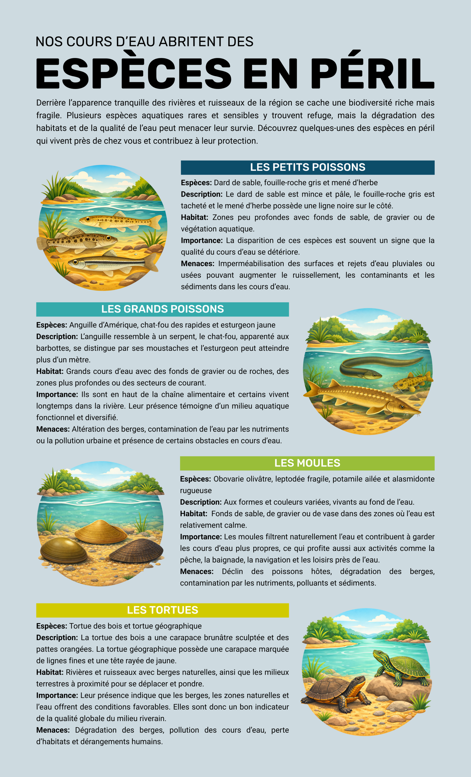 Fiche secteur commercial et industriel