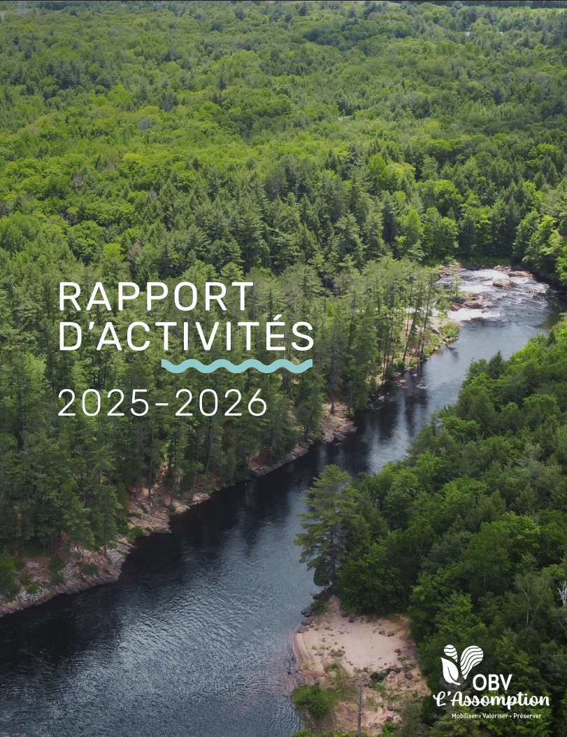 Rapport 2024-2025